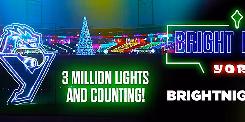 Bright Nights York - Frozen