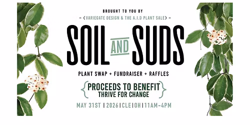 SOIL & SUDS VIII