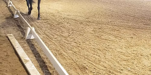 Shamrock III Dressage Show (English & Western)