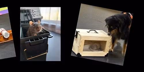 Rock-n-Ratters August 2026 Happy Ratters trial weekend 