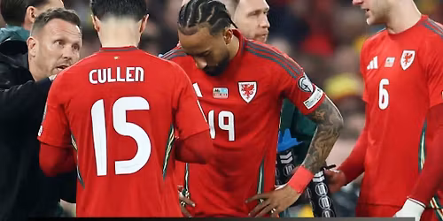 WALES \ud83c\udff4\udb40\udc67\udb40\udc62\udb40\udc77\udb40\udc6c\udb40\udc73\udb40\udc7f V BOSNIA \ud83c\udde7\ud83c\udde6 Live & Loud! - \u2708 \ud83c\uddfa\ud83c\uddf8 \u26bd\ud83c\udfc6