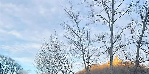 Friend of a Friend: Walk after work