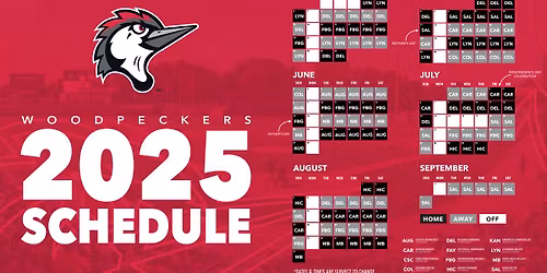 Lynchburg Hillcats vs. Fayetteville Woodpeckers