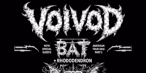 Voidvod