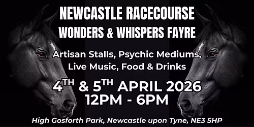 Newcastle Racecourse Artisan Fayre with Psychic Sally Show ( paid Seperate)