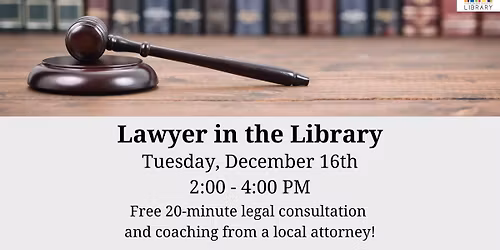 Lawyer in the Library