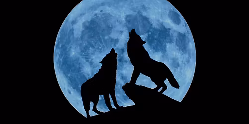 Creedence Clearwater Collective