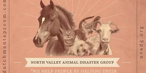 BINGO Night for a Cause!