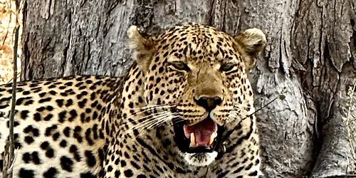 2nd Annual Charity Golf Tournament For the Rhinos