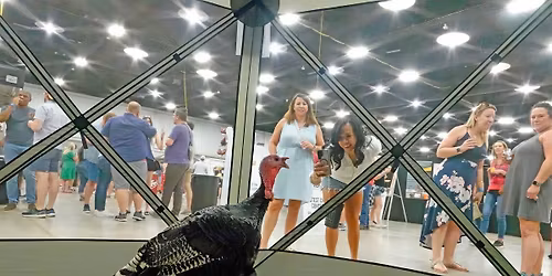 Turkey Pardon at the Delaware Tribe