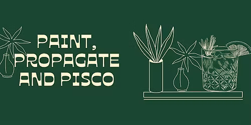 Paint, Propagate and Pisco
