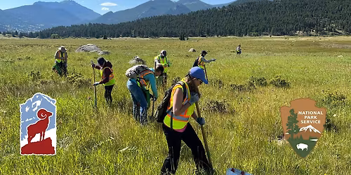 Volunteer to Protect Native Ecosystems in Rocky Mountain National Park
