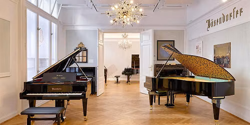 B\u00f6sendorfer x Lieven Summer School Salonkonzert