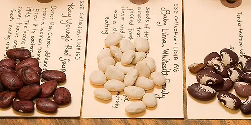 Seed & Swap: The Art of Saving and Sharing