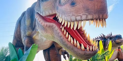 DINOSAURS & I HEART COOKIES in NEW BERN - THURSDAY (10\/30)!!!