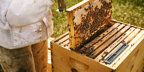 Intro to Beekeeping at Finley Farms