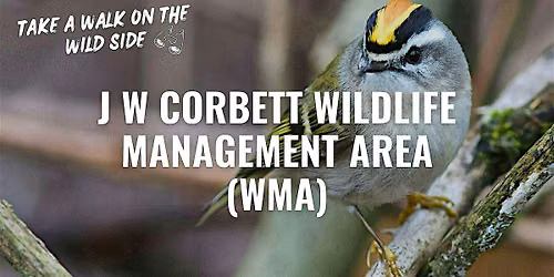 Take a Walk on the Wild Side at J W Corbett Wildlife Management Area