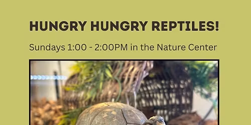 Hungry Hungry Reptiles - Animal Feeding Program 