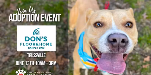 Adoption Event at Don's Carpet One