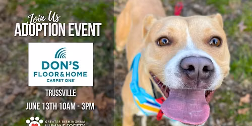 Adoption Event at Don's Carpet One