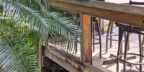 Island Troy at Rum Buckets Bar