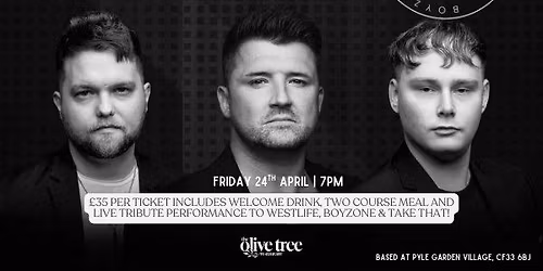 Tribute to Westlife, Take That & Boyzone!