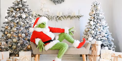 \ud83c\udf81\u2728GRINCHMAS MINI SESIONES 2025\ud83c\udf81\u2728\ud83c\udf84