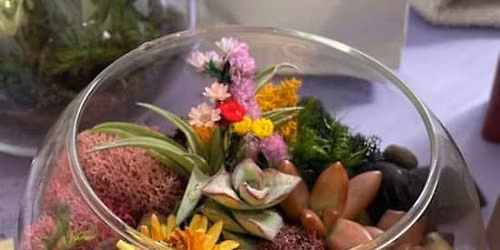 Open Glass Terrarium Class