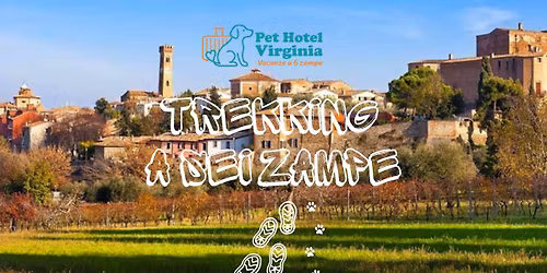 Trekking a sei zampe: 01-02 Maggio 2026 a Santarcangelo e Palazzo Marcosanti