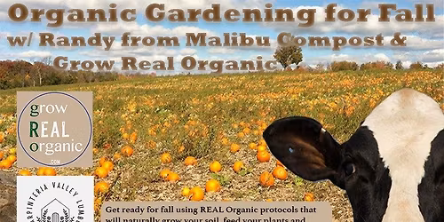 Organic Gardening for Fall