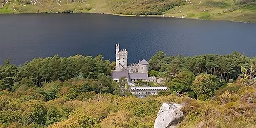 Let's Talk: Restoring Our Native Irish Woodlands