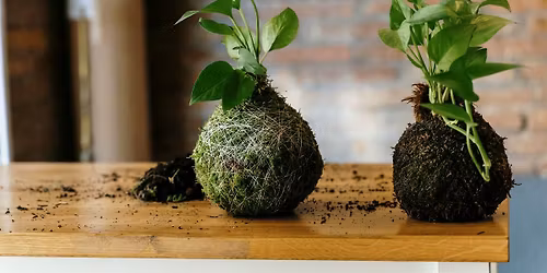 Unique Kokedama Workshop \u2728