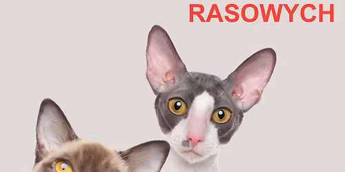 Pokaz Kot\u00f3w Rasowych 