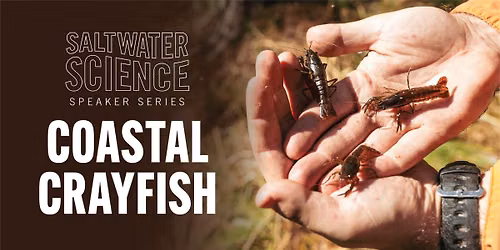 Saltwater Science Series: Coastal Crayfish