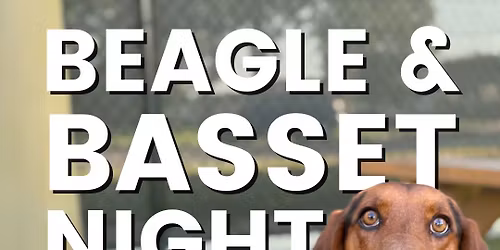 Beagle & Basset Night