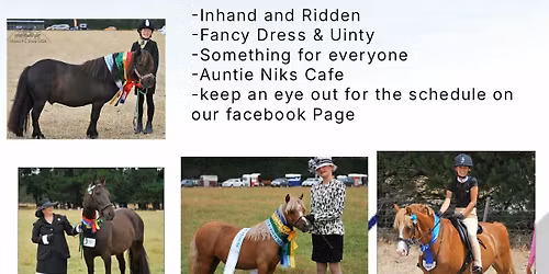 Okuku pony club show