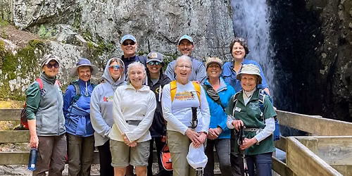 Guided Hike: Brook Walk via Brook Trail