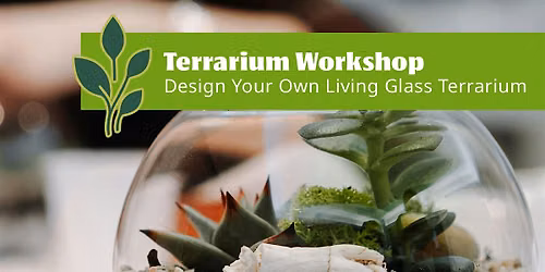 Terrarium Workshop: Design Your Own Living Glass Terrarium - Campbell