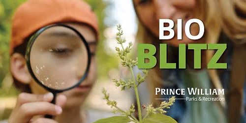 Bio Blitz at Silver Lake Regional Park