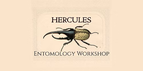 September Entomology Workshop - Hercules Beetle