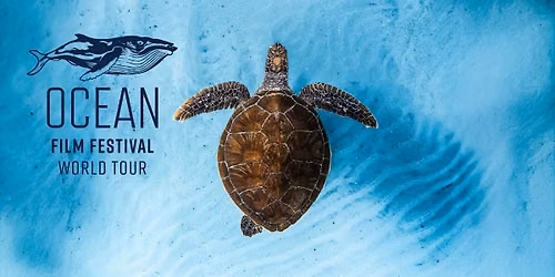 Ocean Film Festival World Tour 2026 - Darwin Wed 17 June 7pm