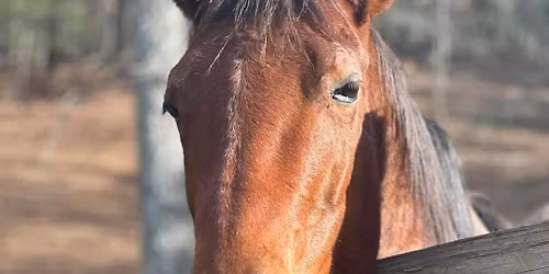 Barn Team Training Day