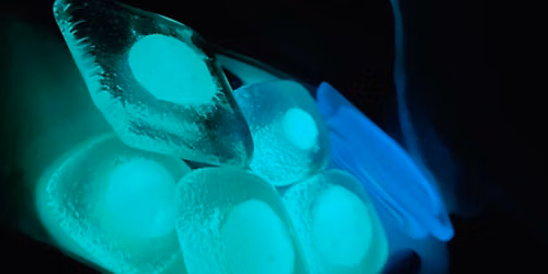 Glow in the dark ny\u00e1ri m\u0171v\u00e9szeti t\u00e1bor