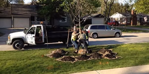City of Geneva\u2019s Parkway Trees and Recycling Program 