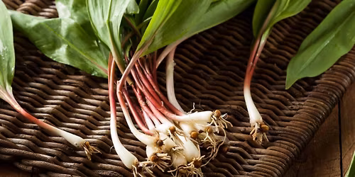 repair my roof Sunday Supper