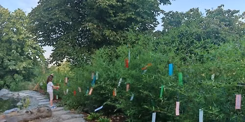 Tanabata fesztiv\u00e1l