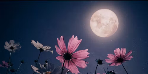 Full Moon Swim (Flower Moon)