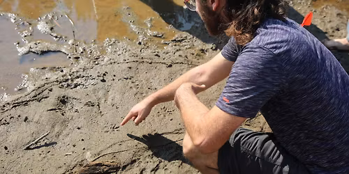 Seattle Tracking Club Nov Meet (Free)