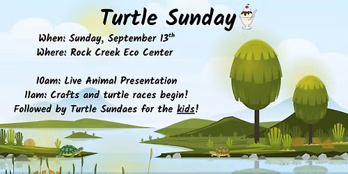 Turtle Sunday