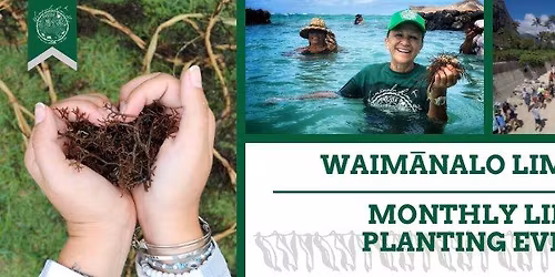 Monthly Limu Planting